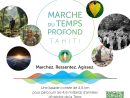 Marche du Temps Profond, une ballade contée pour explorer l’histoire de la Terre